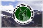 link al sito internet del GRUPPO ALPINI BELLUSCO