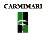 Il sito della ditta Carmimari