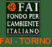 Home Page FAI_TORINO