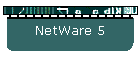 NetWare 5