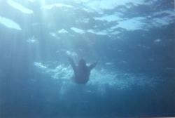 Nuotatore sott'acqua (Sardegna)