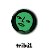  trib1 