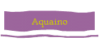 Aquaino