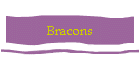 Bracons