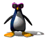 un pinguino