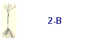 2-B