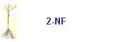 2-NF
