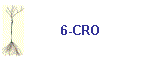 6-CRO