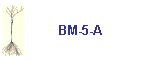 BM-5-A