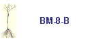 BM-8-B