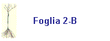 Foglia 2-B