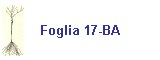Foglia 17-BA