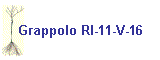 Grappolo RI-11-V-16