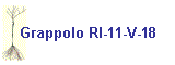 Grappolo RI-11-V-18
