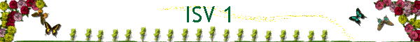ISV 1