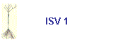 ISV 1