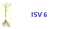 ISV 6