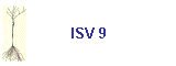 ISV 9