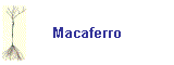 Macaferro