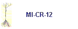 MI-CR-12