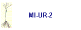 MI-UR-2