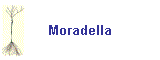 Moradella