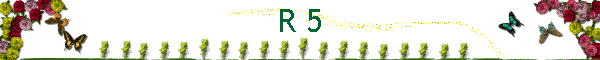 R 5