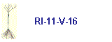 RI-11-V-16