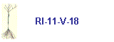 RI-11-V-18