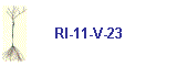 RI-11-V-23