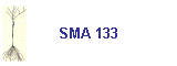 SMA 133