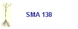 SMA 138