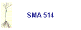 SMA 514