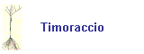 Timoraccio