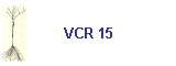 VCR 15