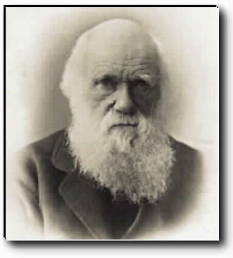 Darwin1.jpg (18371 byte)