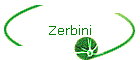 Zerbini