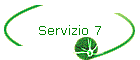 Servizio 7