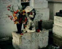 foto tomba Jim Morrison a Parigi (cimiteri di Pere' Lachaise) ancora con il busto