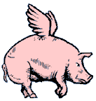 fat flying pig