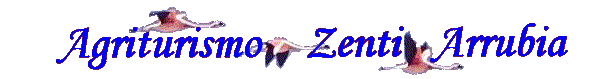 Logo Zenti Arrubia