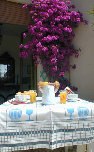 Bed and Breakfast in Rome Italy best accommodation in the best rooms for the best vacation holidays - one of the Terraces