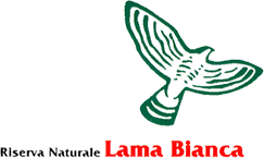 Logo_LamaBianca.gif