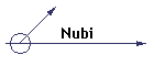 Nubi
