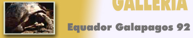 Equador Galapagos