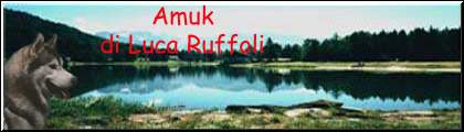AMUK Logo