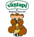 Logo Vastapi.jpg (12847 byte)