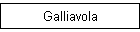 Galliavola