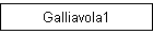 Galliavola1
