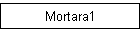 Mortara1